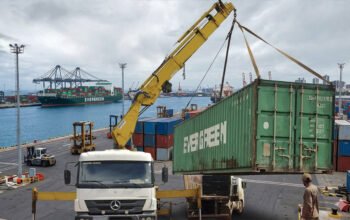 Guindaste veicular montado sobre caminhão movimentando um contêiner no pátio de um porto, com navio cargueiro e pilhas de contêineres ao fundo, ilustrando a mobilidade e o suporte logístico desse tipo de equipamento nas operações portuárias.